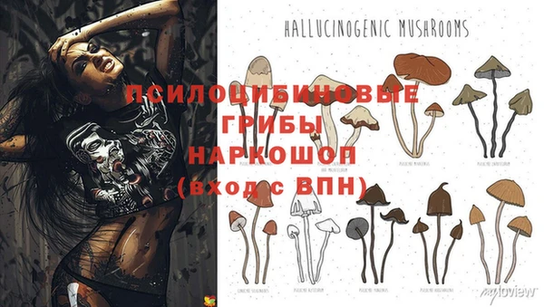 кокаин колумбия Киреевск
