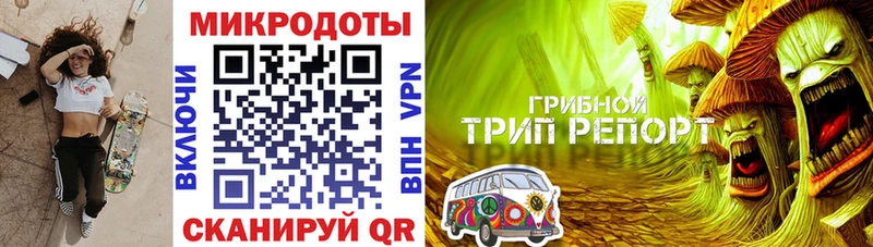 Купить закладки Дорогобуж Галлюциногенные грибы MAGIC MUSHROOMS